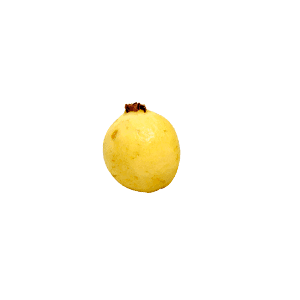 Guayaba