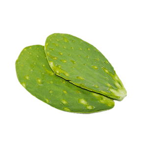Nopales