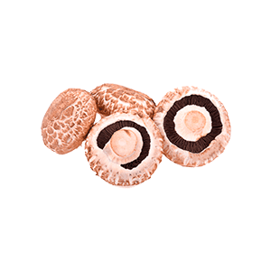 Portobello caja 500g