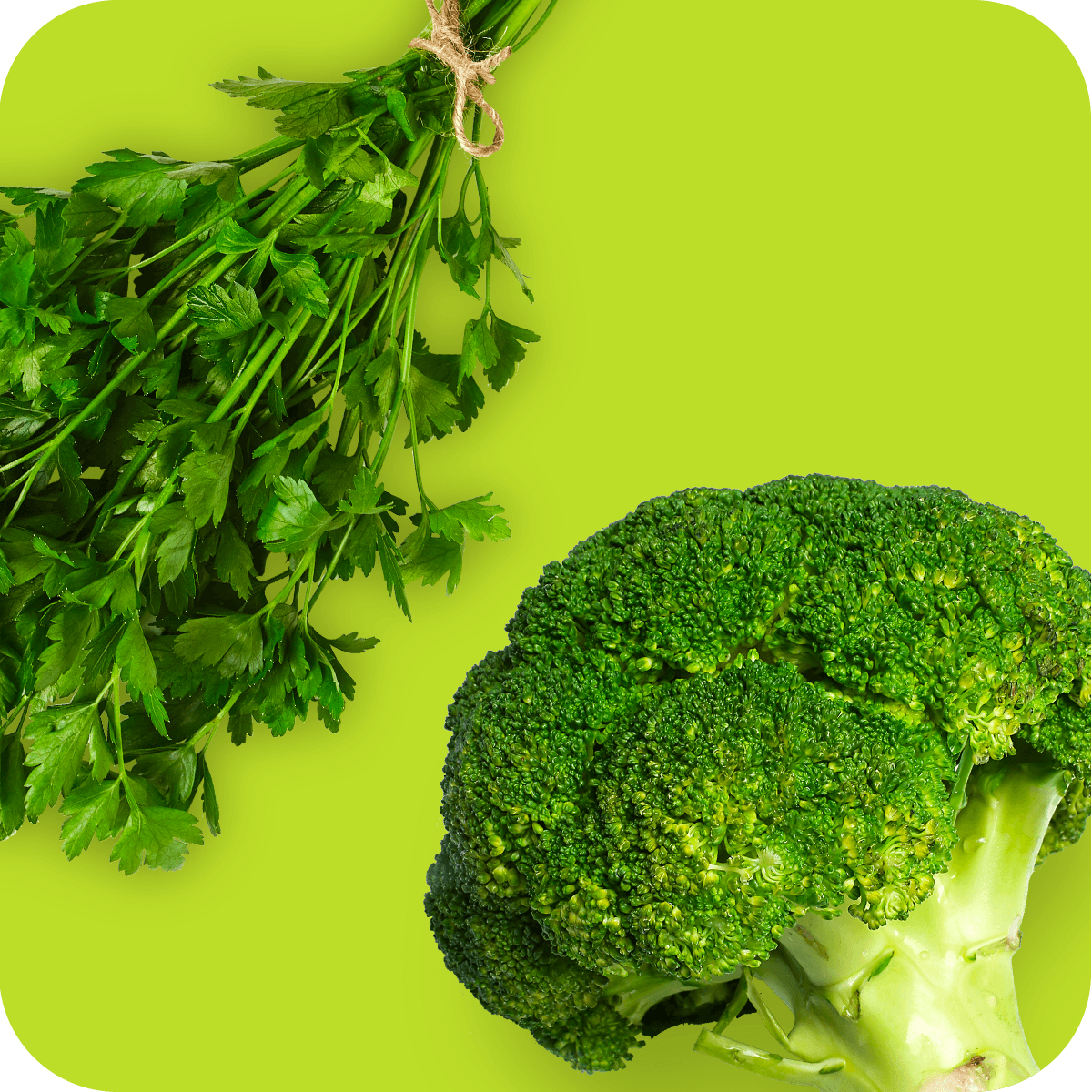 Verduras y hierbas frescas