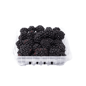 Zarzamoras caja 170g