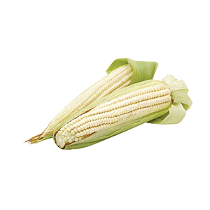 Elote blanco