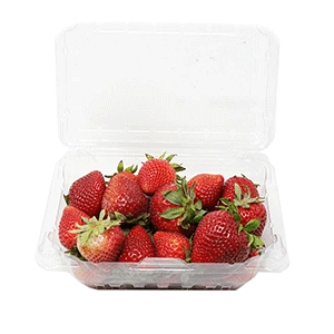 Fresas caja 454g