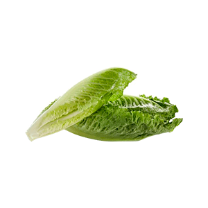 Corazones de lechuga romana Mr. Lucky 3pz