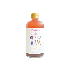 Kombucha calm Bebida Viva 500ml